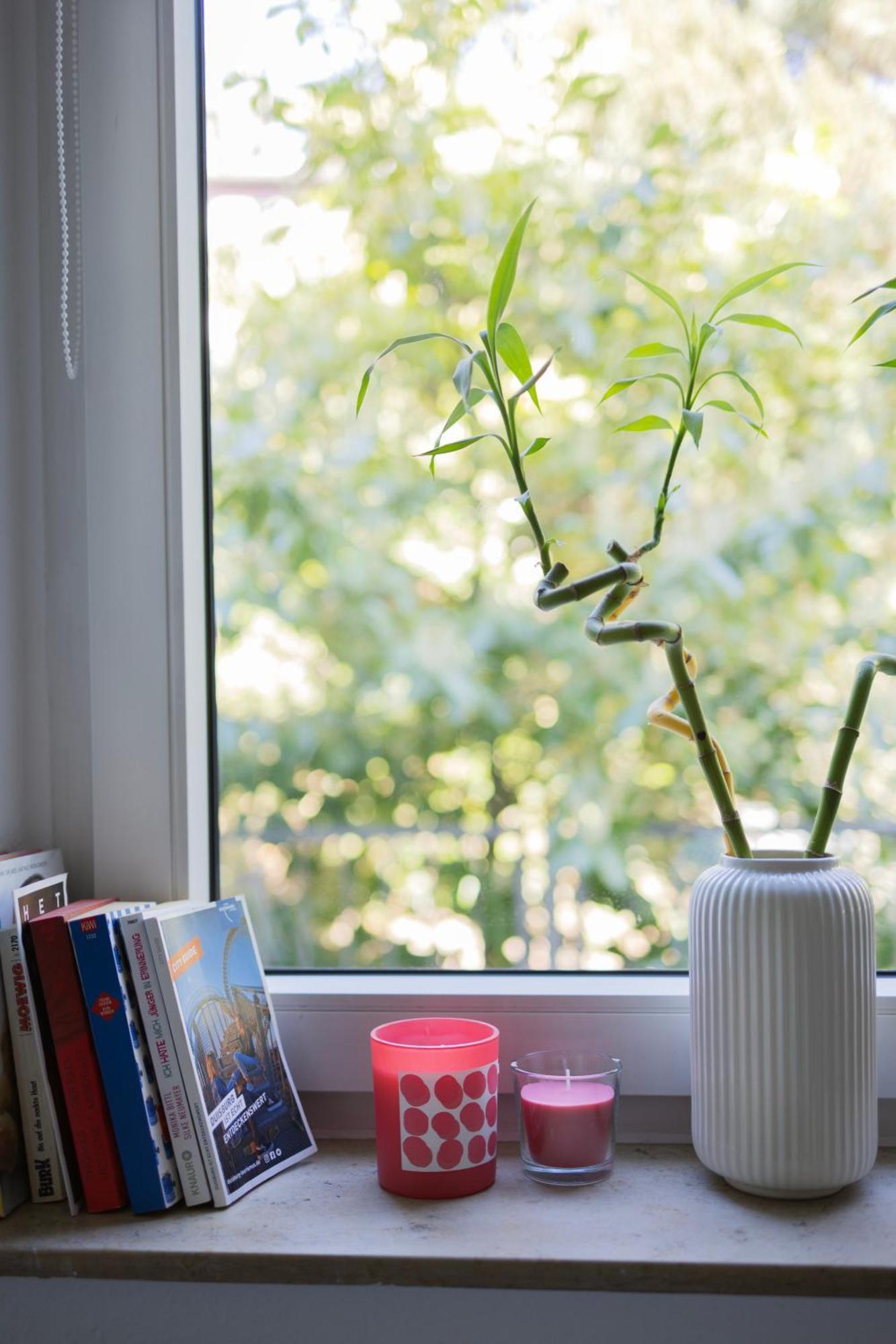 דיסבורג Central Apartment With Terrace And A Free Parking מראה חיצוני תמונה